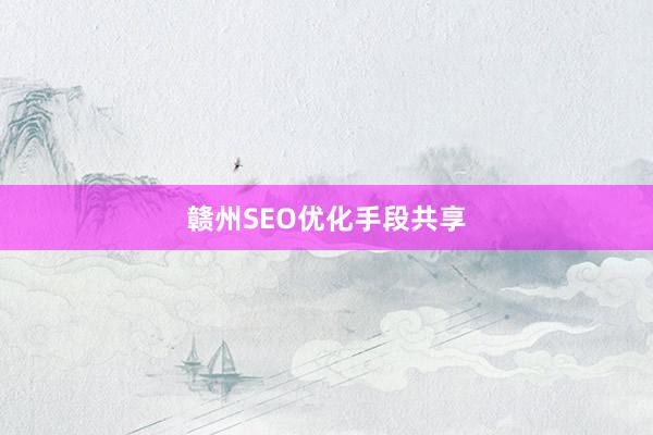 赣州SEO优化手段共享