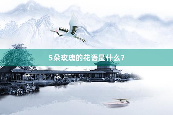 5朵玫瑰的花语是什么？